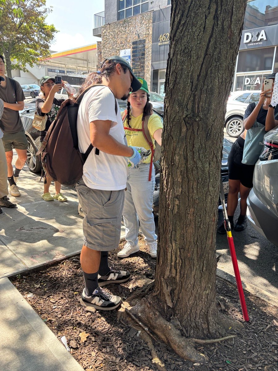 TreesNewYork's tweet photo. Trees New York partnered with @Uprose and hosted a #CitizenPruner course in Sunset Park, Brooklyn. We had a great time together #pruningtrees and are so glad they are committed to stewarding our #urbanforest. GREAT JOB! https://t.co/YZPMA3SZwA