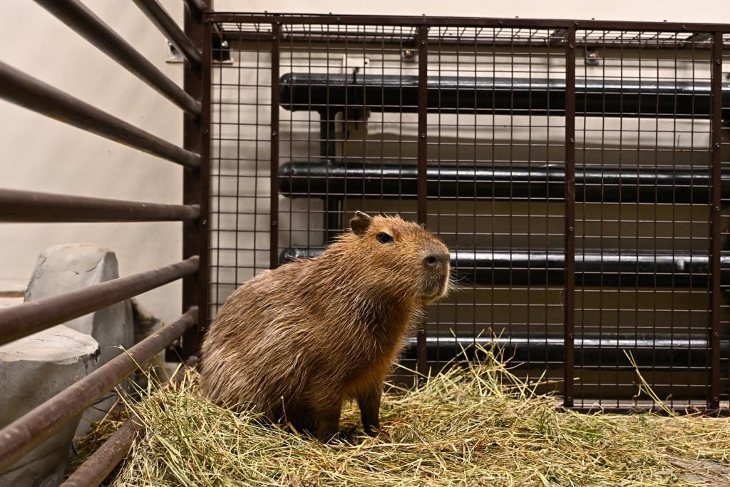 МОЙ ГОРОД - ПЕРМЬ! tweet media