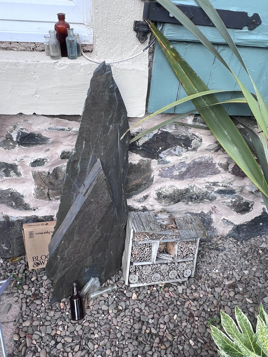 mashed potato 🇪🇺 269ⓥ ℲꓵƆꓘ ꓭꓤƎXIꓕ 420🔥 tweet media