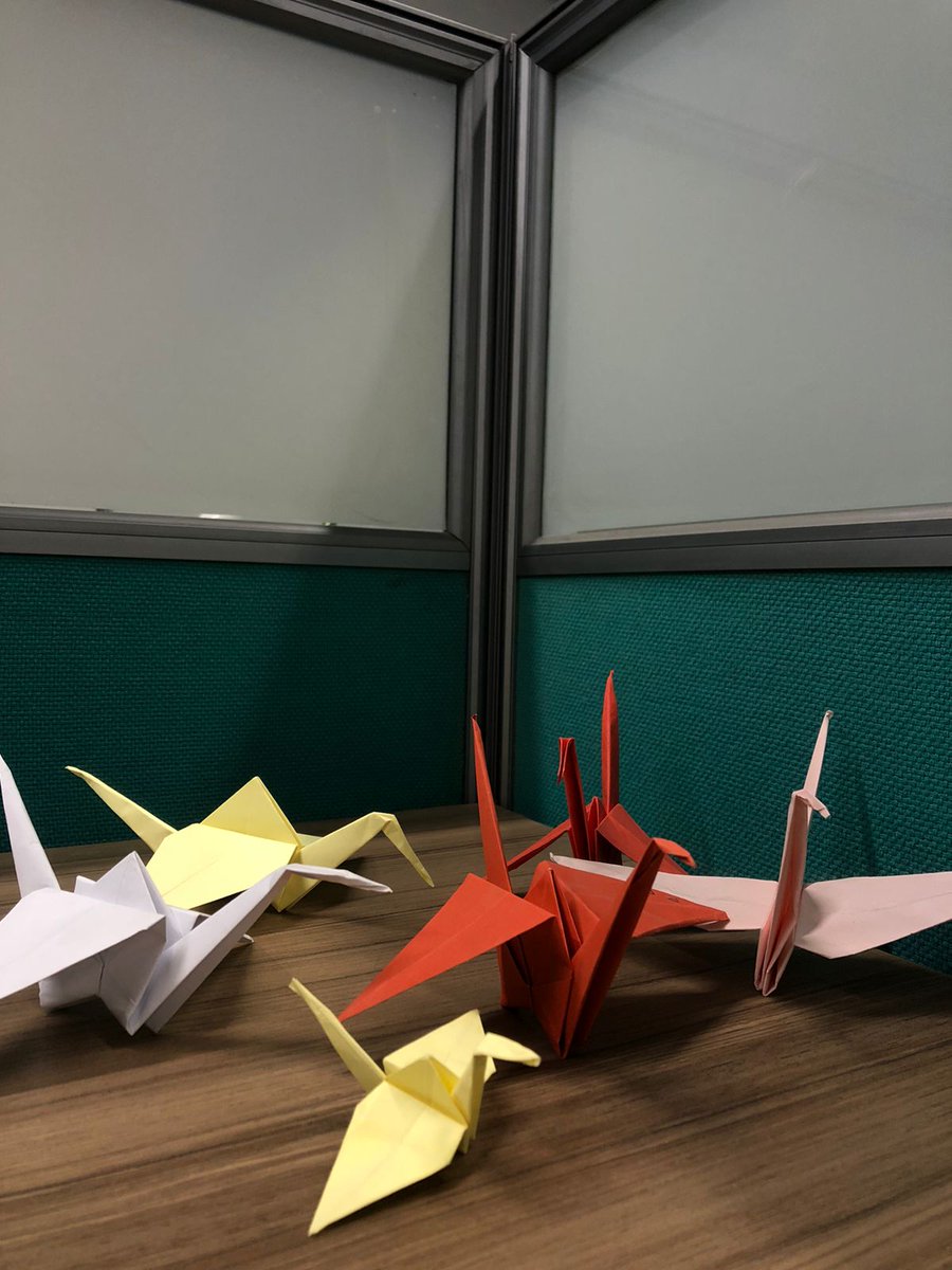 esha_pak's tweet photo. #CranesForOurFuture at @CSSPR_UOL https://t.co/4Yl0x3KLG4