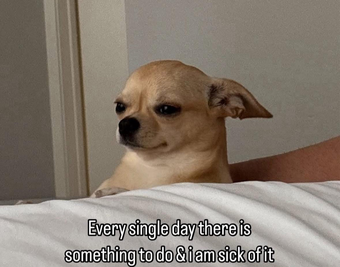 Respectful Memes (@respectfulmemes) on Twitter photo 