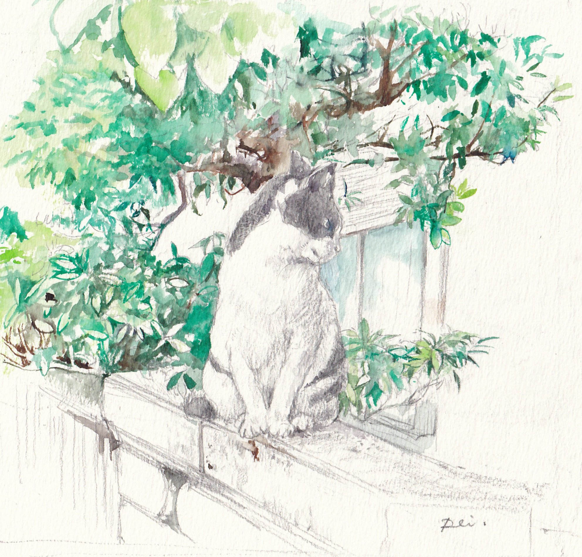 A*e様 初夏の散策路 水彩画　F10号　生原画 注文制作します 水彩画原画 あじさいと江ノ電 ＃510 | iichi