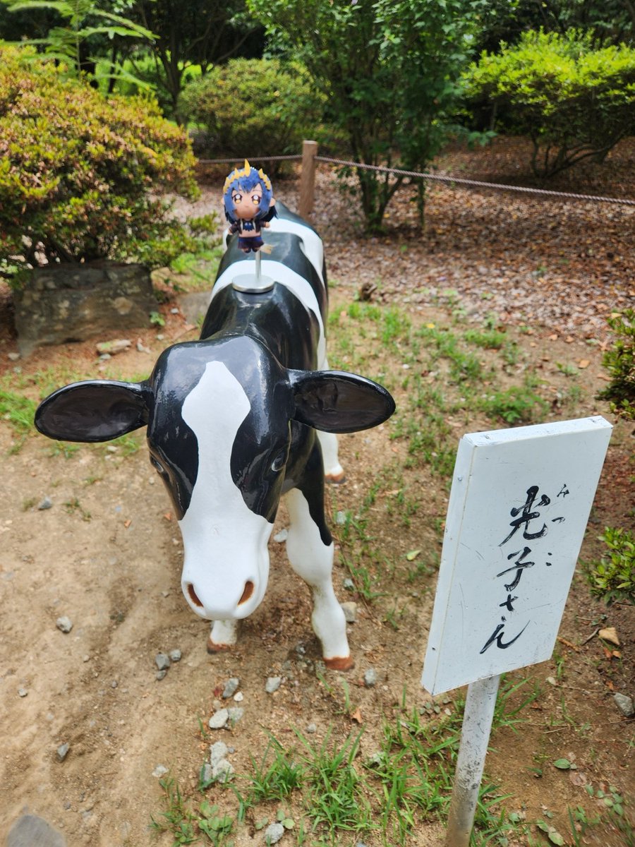 Riria_PD's tweet photo. 長野県の善光寺と松本城に行ってきました＾＾
シャルちゃんと撮ったけどぼけてた；；
（他の人もぼけていてちょうどいいかもｗ）
めっちゃ綺麗だった～＾＾
善光寺は、めちゃくちゃ暑かったから、お勧めあまりできないけど、御朱印もらいに行ってきた♪みたないな所があるからｗ
松本城は、めっちゃ涼しかった～＾＾
綺麗でかっこいいから、マイクラで作ってみてもいいかもね～ｗ

旅行の内容は１つ前のポストでｗ
（他の画像もあるよ～＾＾）

#島村シャルロット
