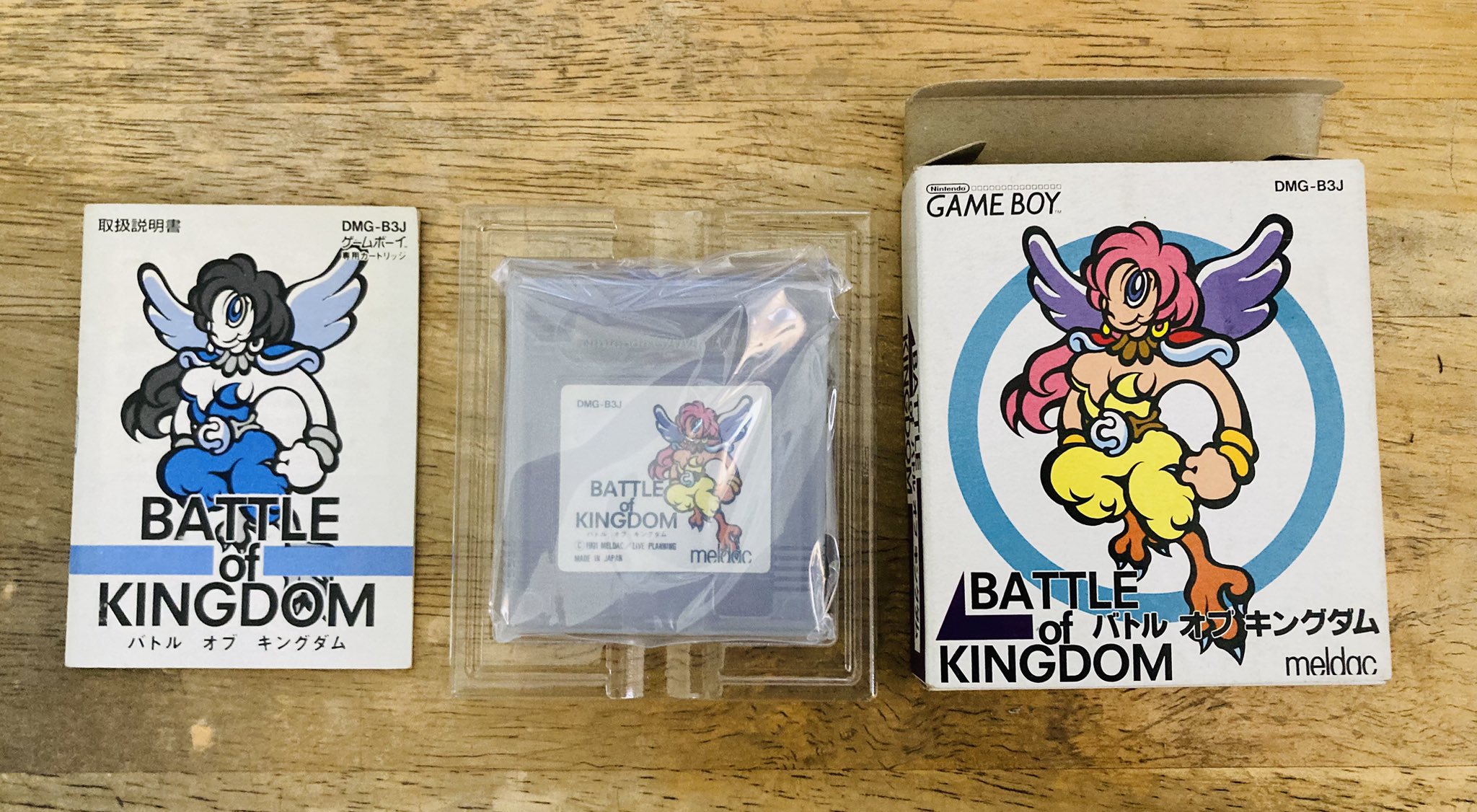 希少　バトルオブキングダム　箱あり　ゲームボーイ ゲームボーイ - 希少 バトルオブキングダム 箱あり ゲームボーイ