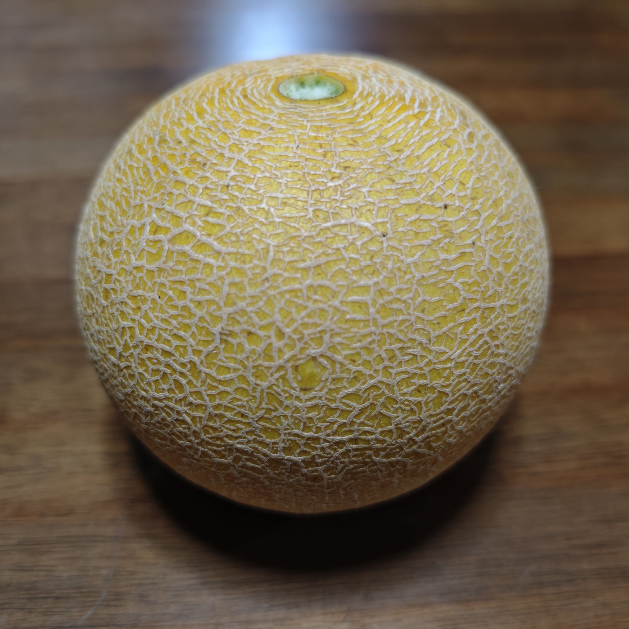 ころたん ころたんメロン - Search / X