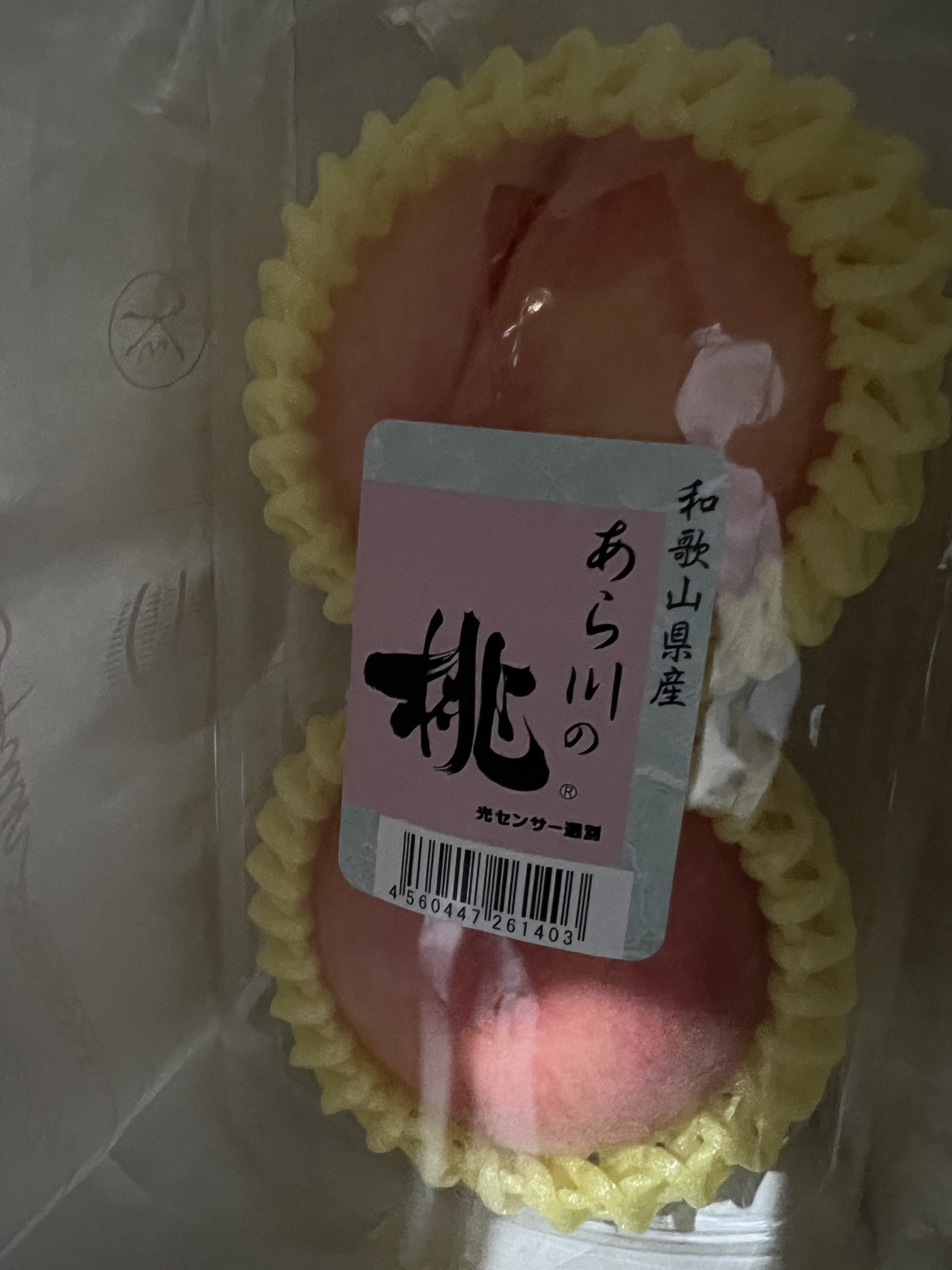 桃ページ sugita alice on X: 