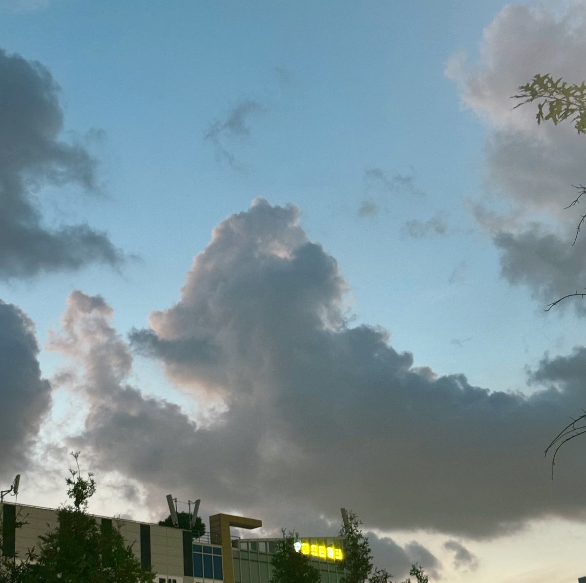 YAMIroid's tweet photo. 소프트 아이스크림 먹는 멍멍이 구름☁️ https://t.co/d1xGL1gi2u