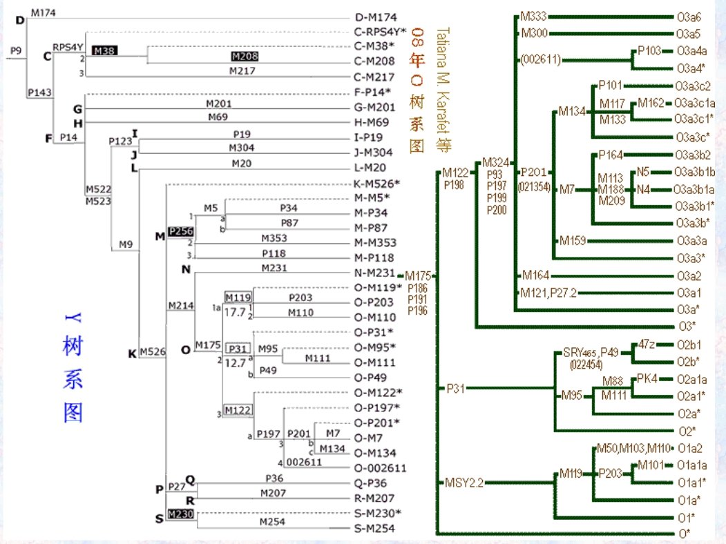 Pêⁿ po͘ cho̍k kûn 福爾摩莎 tweet media