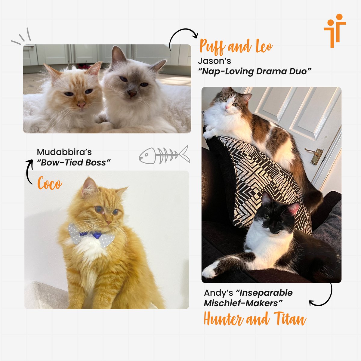 Meet our paw-some team. 🐕🐈🐾 

They don’t code. They don’t consult. They’re definitely not on payroll...
But they’re absolutely part of the team and they make everything better. 🧡

#TalenTeam #PetsofTalenTeam