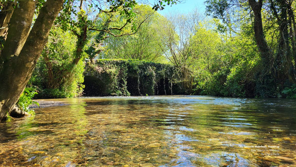 Local Authority Waters Programme tweet media