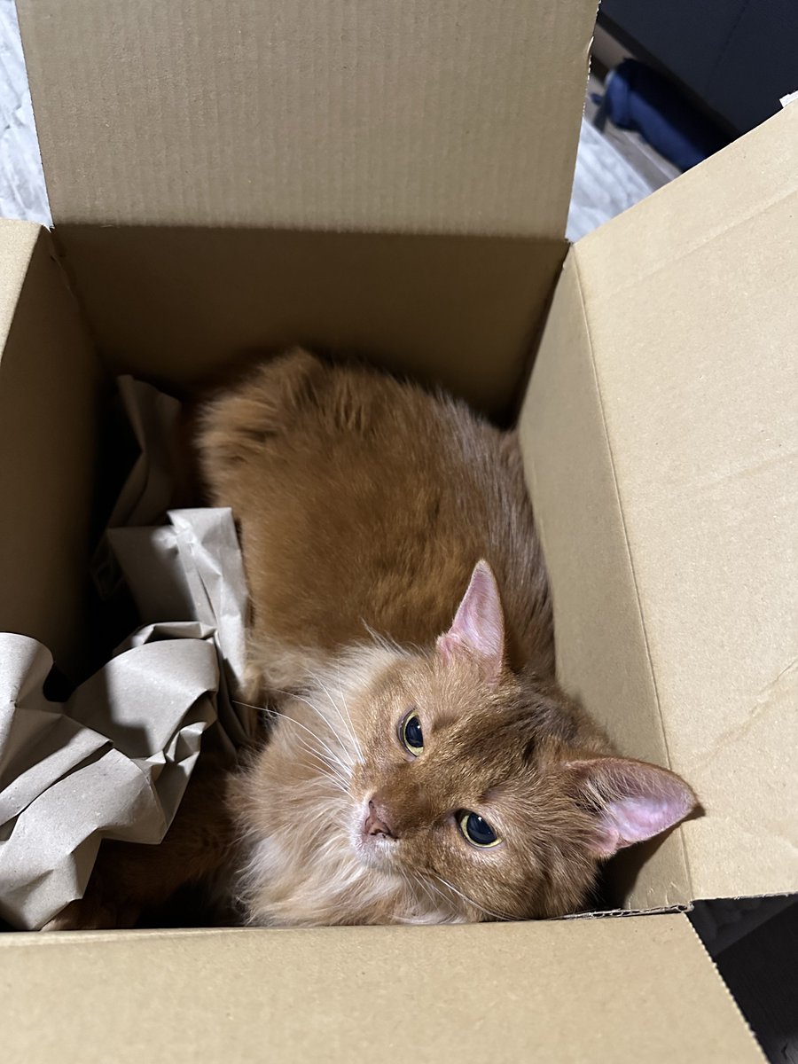 荷物が届くと必ずこれよねw