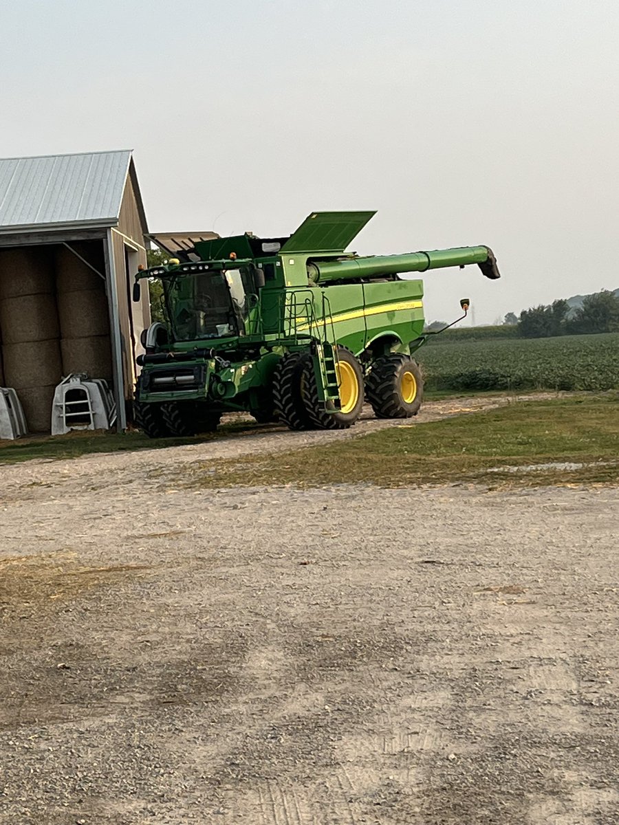 Oh man the guys got the combine shining yesterday, after a dirty wheat harvest!