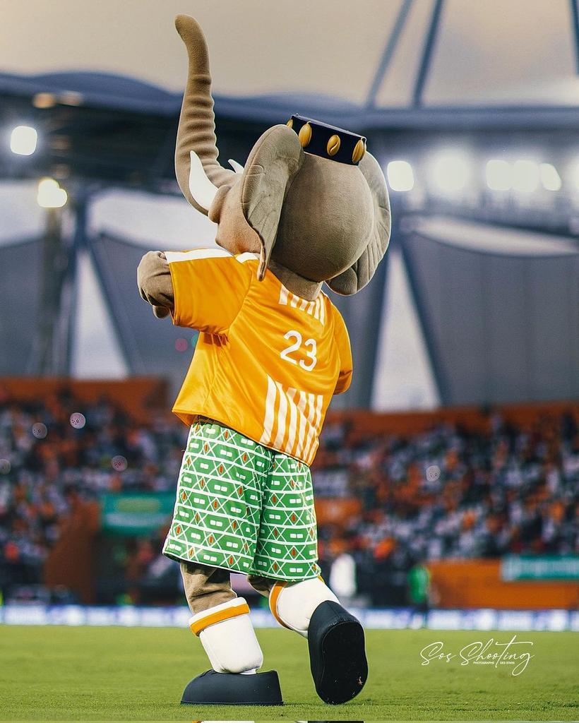 La Côte d'Ivoire a 65 ans. Un privilège de faire partie de cette nation 🇨🇮❤️🌟🌟🌟🔥 #HappyIndependenceDay