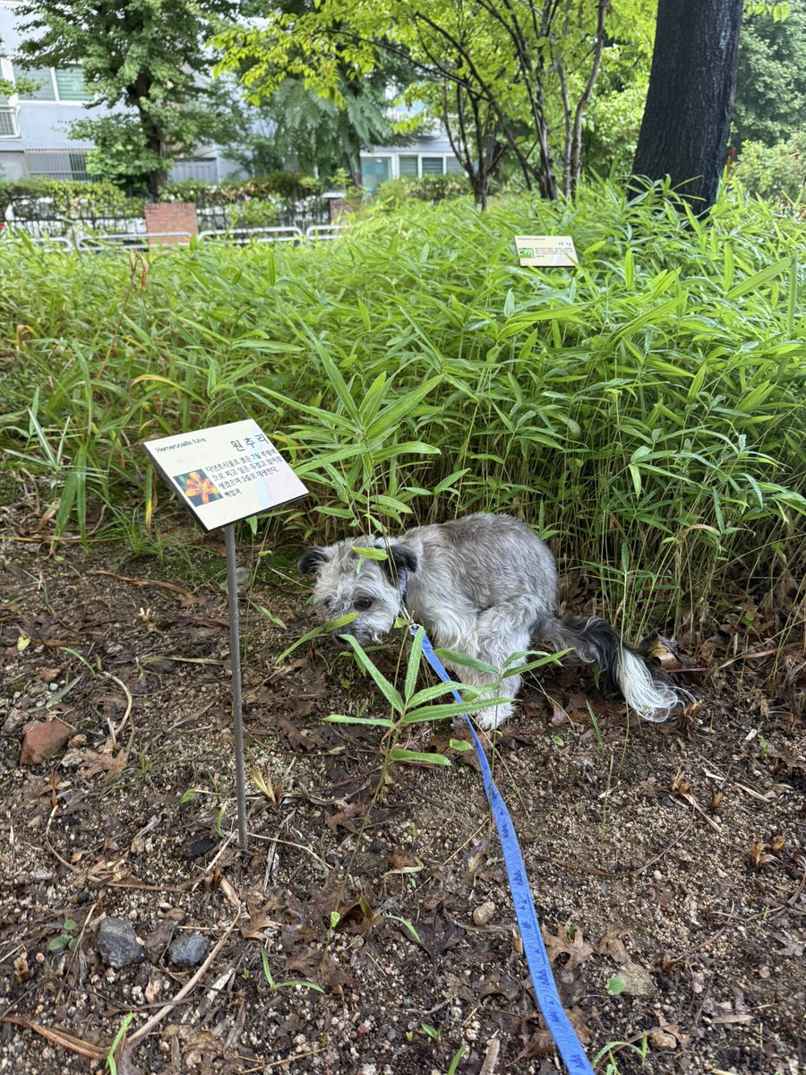 연근🐼 (@__butlotusroot) on Twitter photo 