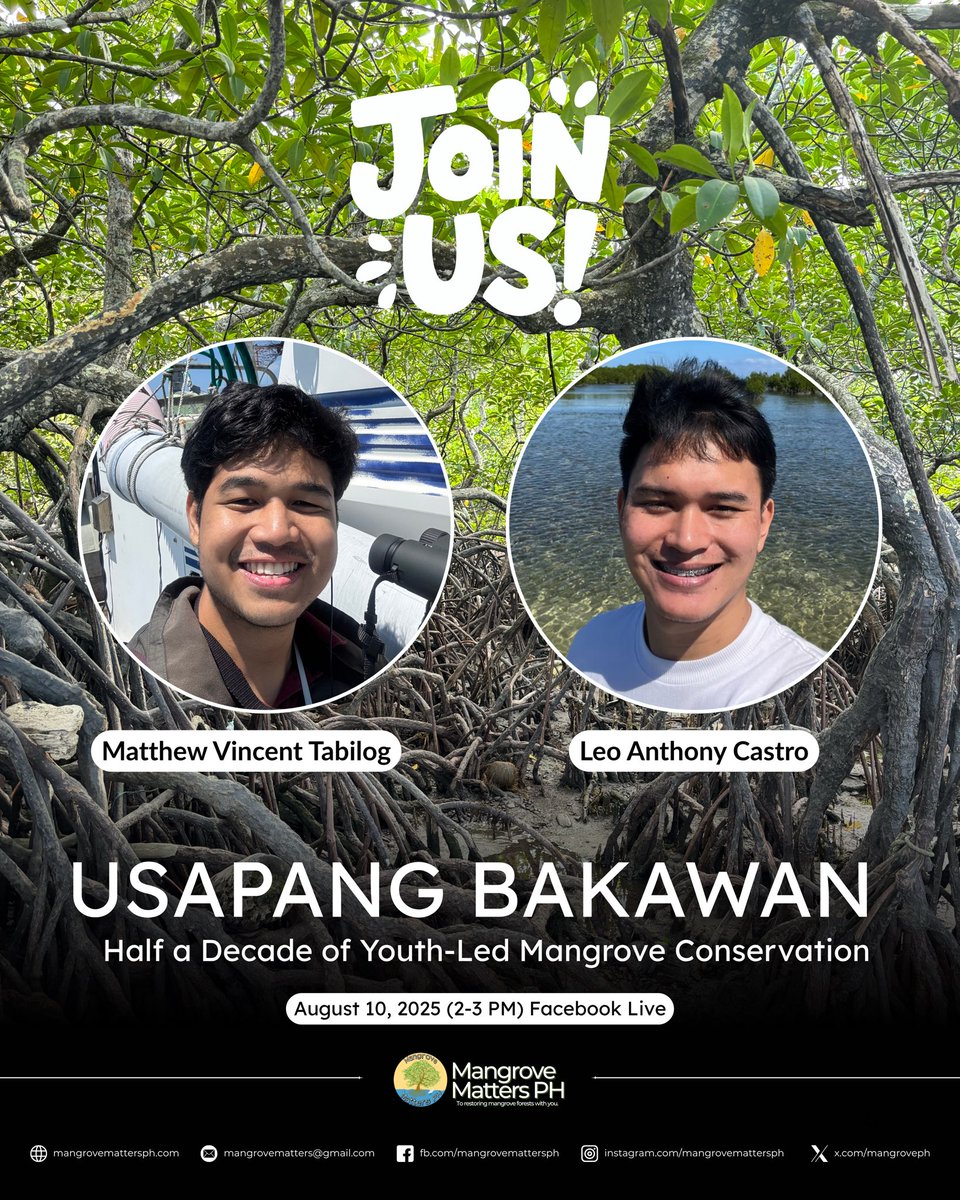 Mangrove Matters PH tweet media