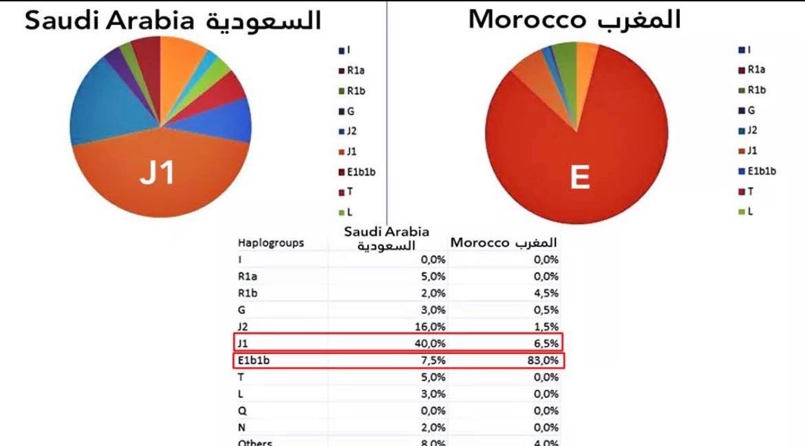 ⵔⴻⴳⵓⵍⴰⵔ ۞ 🔱 (@regularname_) on Twitter photo <a href="/UmarQadmiri/">Umar Qadmiri</a> Here we go again with these brainwashed kids
The arabs are not majority even in the persian “arabic” peninsula
And yes, you are an “arabized” berber, projecting his hate on Moroccans and dividing them into groups
A simple DNA test will solve your inferiority complex <a href="/UmarQadmiri/">Umar Qadmiri</a> Here we go again with these brainwashed kids
The arabs are not majority even in the persian “arabic” peninsula
And yes, you are an “arabized” berber, projecting his hate on Moroccans and dividing them into groups
A simple DNA test will solve your inferiority complex