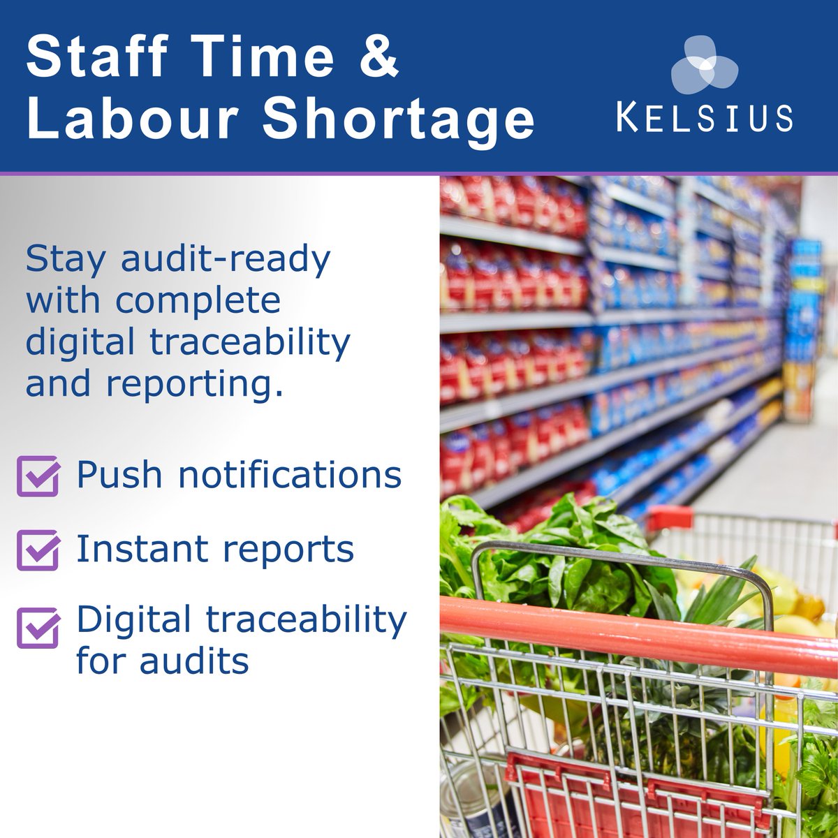 🕒 “We saved 6 staff hours per week with Kelsius.”

Labour shortages are tightening. One SPAR operator replaced manual checks with Kelsius and instantly reclaimed hours of staff time weekly.

📧 Get your free quote today.
📞 IRL: 074 916 2982 | UK: +44 (0)2045 799 048