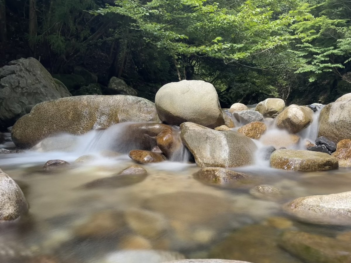 いよいよ明日！

………なんだけど猛烈に体調が悪い

体調悪いの飛んでいけー（ ;  ; ）