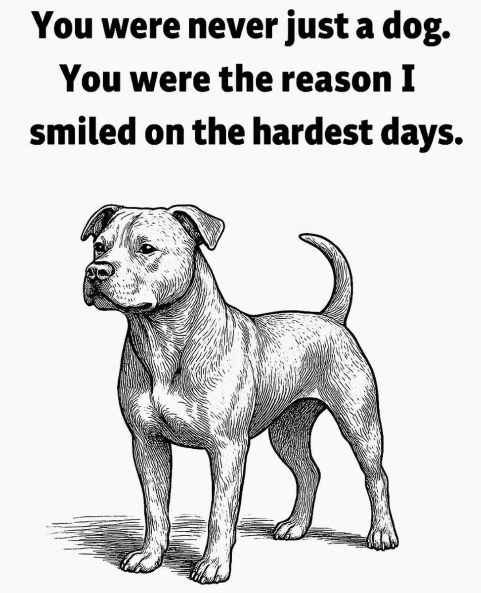 We don’t deserve them.