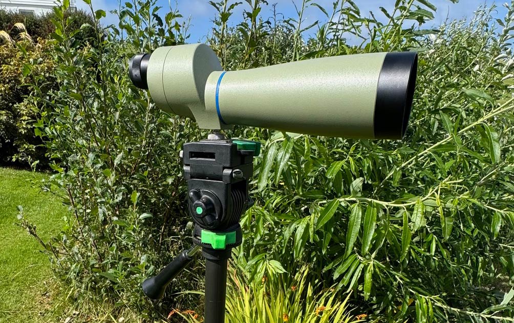 Hugh Harrop Wildlife tweet media