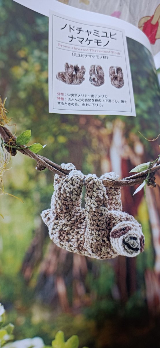 今日買った本🦥✨
ナマケモノの説明あるよ💕