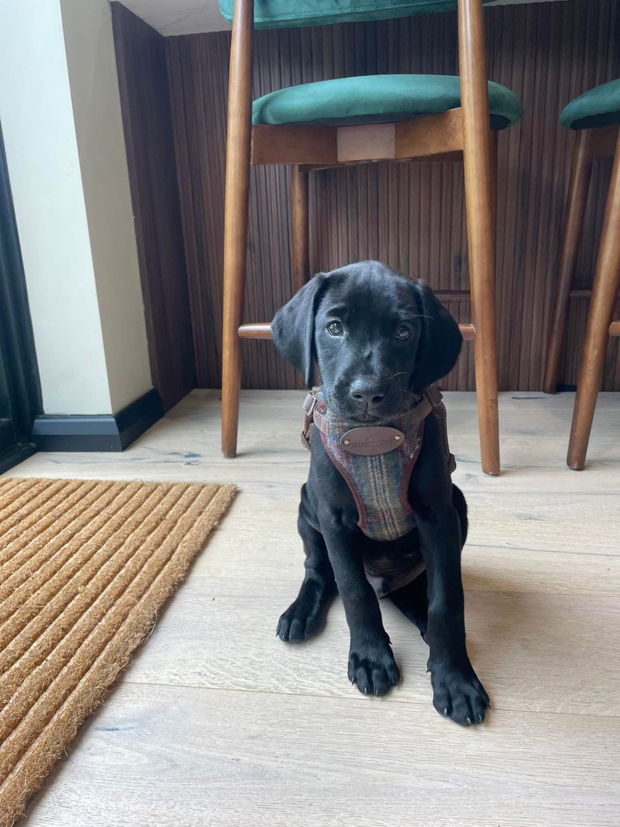 Adam Cooke tweet media