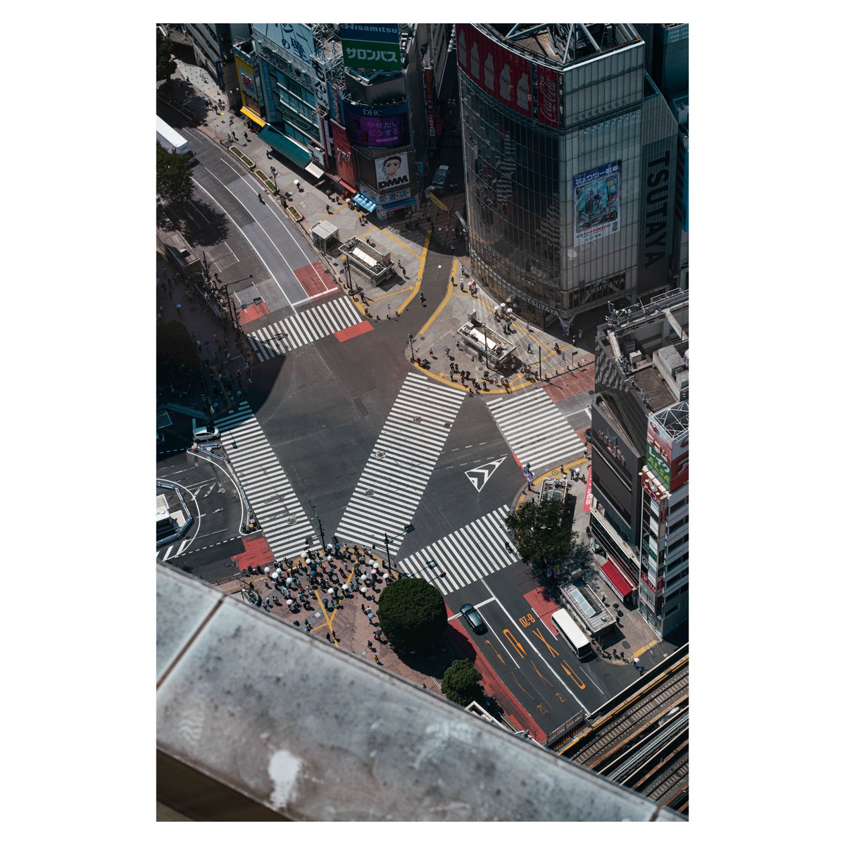 PhotophotoK's tweet photo. #a7rii #sigma90mm #photography #streetphotography https://t.co/uk0G546Yak