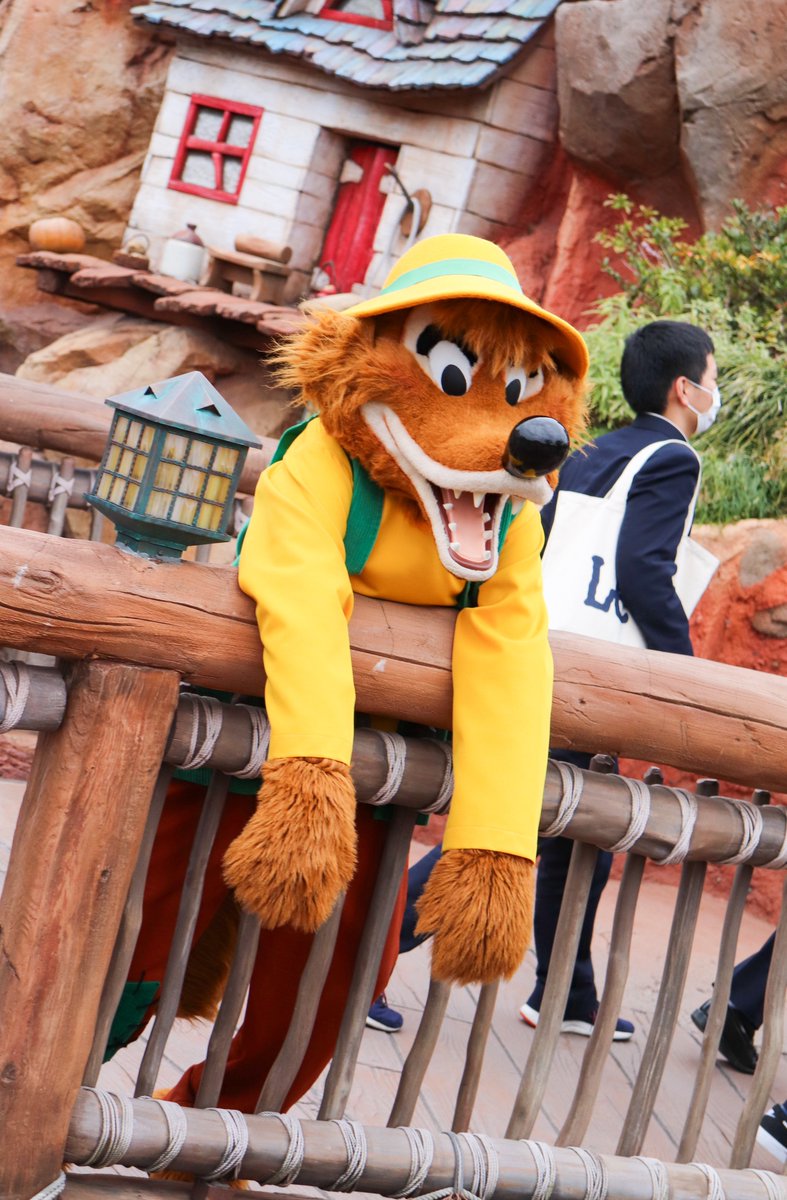 LucaRobin_L_E's tweet image. ぐで〜ん　#brerfox