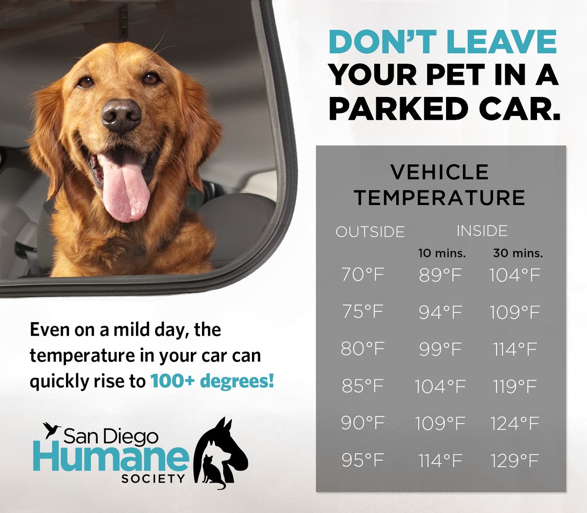 San Diego Humane Society (@sdhumane) on Twitter photo Never leave your pet in a parked car, even with the windows cracked during warm and hot weather. More heat safety tips at sdhumane.org/staycool. Never leave your pet in a parked car, even with the windows cracked during warm and hot weather. More heat safety tips at sdhumane.org/staycool.