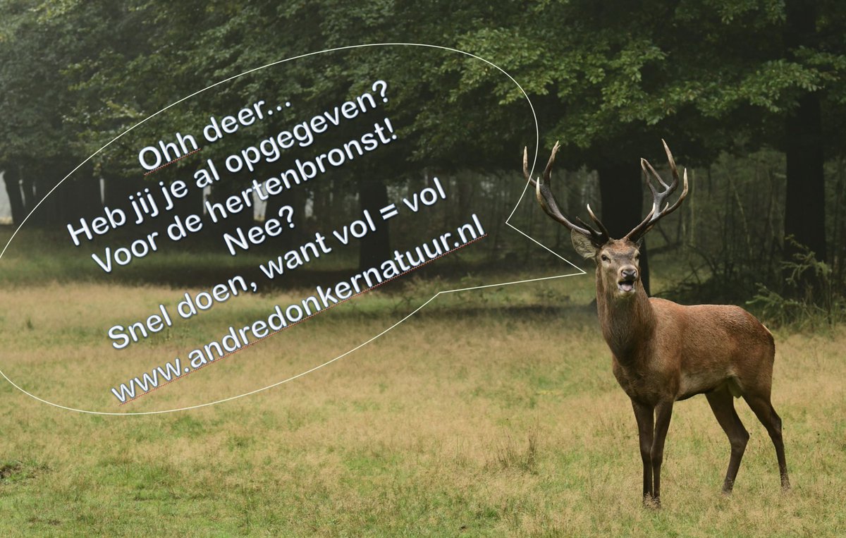 Onze agenda voor de edelherten bronst staat weer online. Wil je mee, geef je dan snel op. Vanaf 13 september starten onze fietsexcursies weer. andredonkernatuur.nl/op-de-agenda