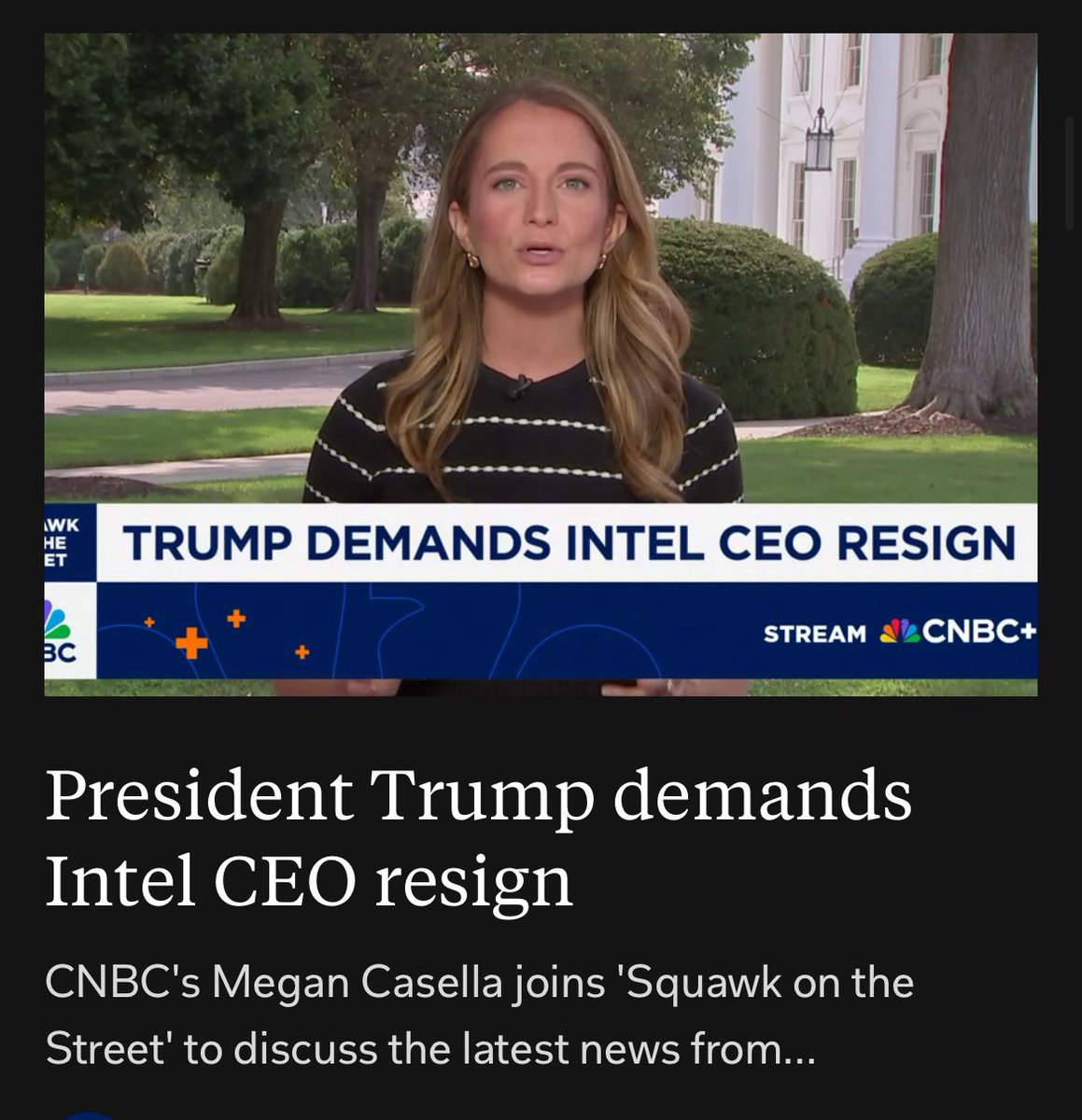 It’s like some 4th grader with ADD made an obese scarecrow from the guts of a rotting pumpkin, forget to install a brain, and set it loose on the world…