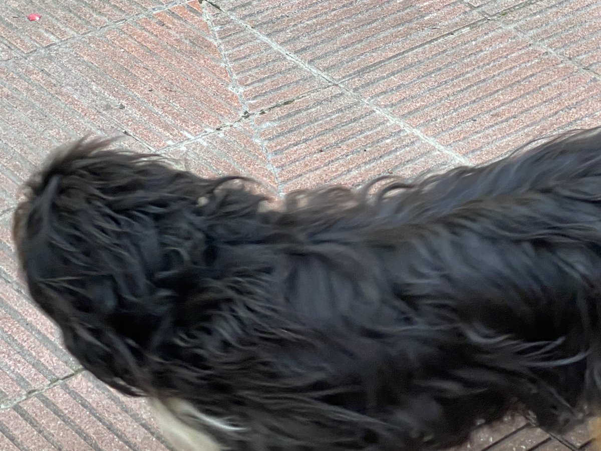 ْ (@9ui113rm0) on Twitter photo 