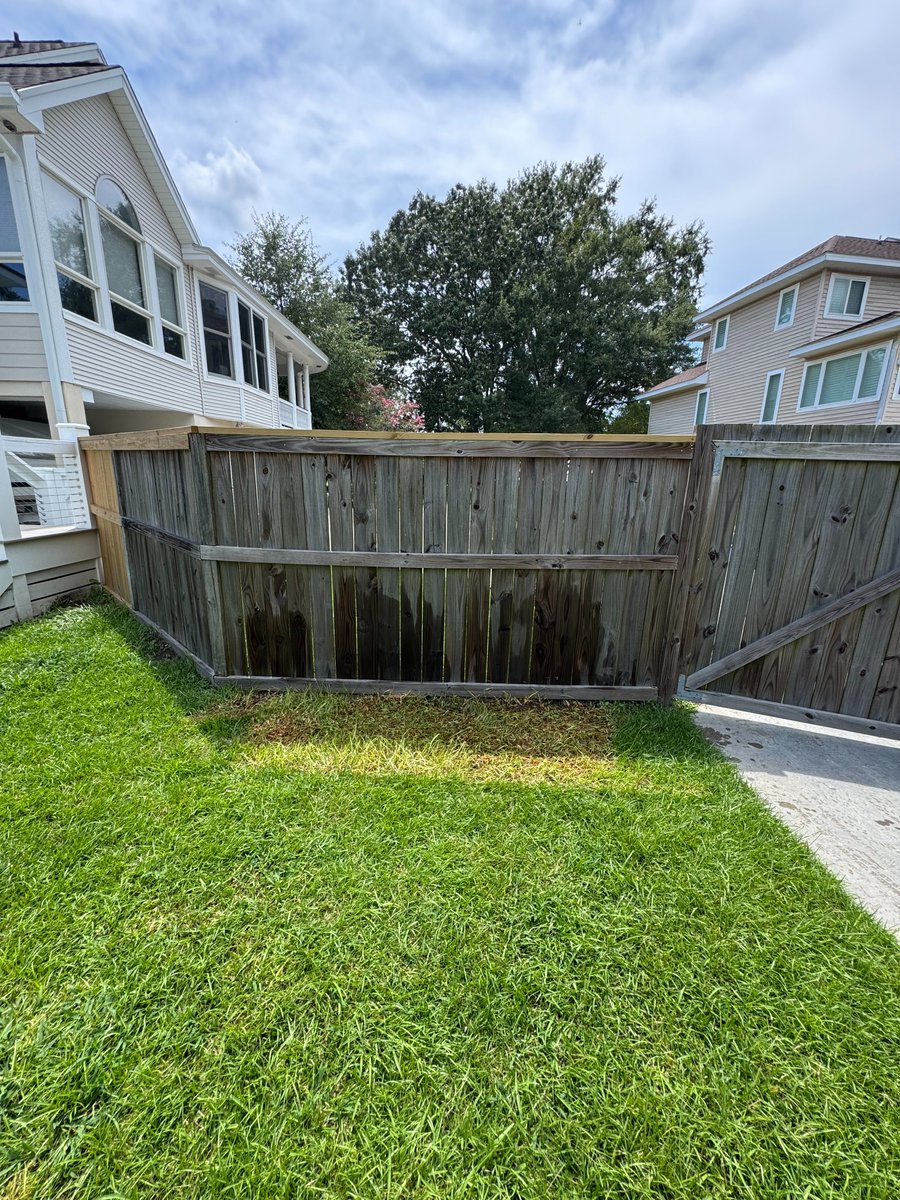BDJunkremoval's tweet image. Swipe to Clean: Tidy Up the Yard Edition
Make Junk and Clutter disappear like magic✨

🐾 Black Dog Junk Removal
📍 Charleston, SC
☎️ 843-920-JUNK

#JunkRemoval #CleanOutCrew #DeclutterYourLife #SwipeToClean #BeforeAndAfter #JunkBeGone #TidyTransformation #ClutterFree