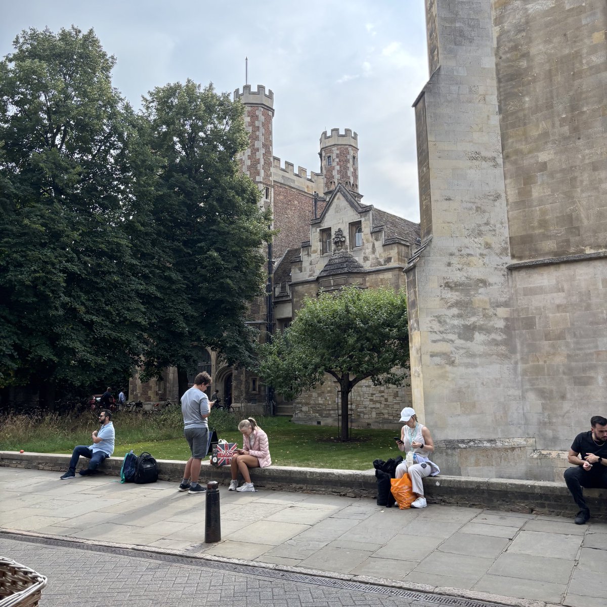 chloé 💚🇵🇸 tweet media