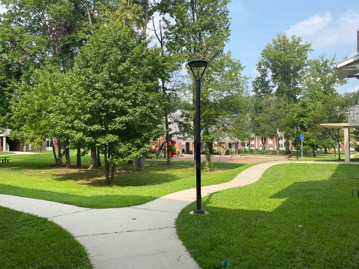 Mark Lindsay tweet media