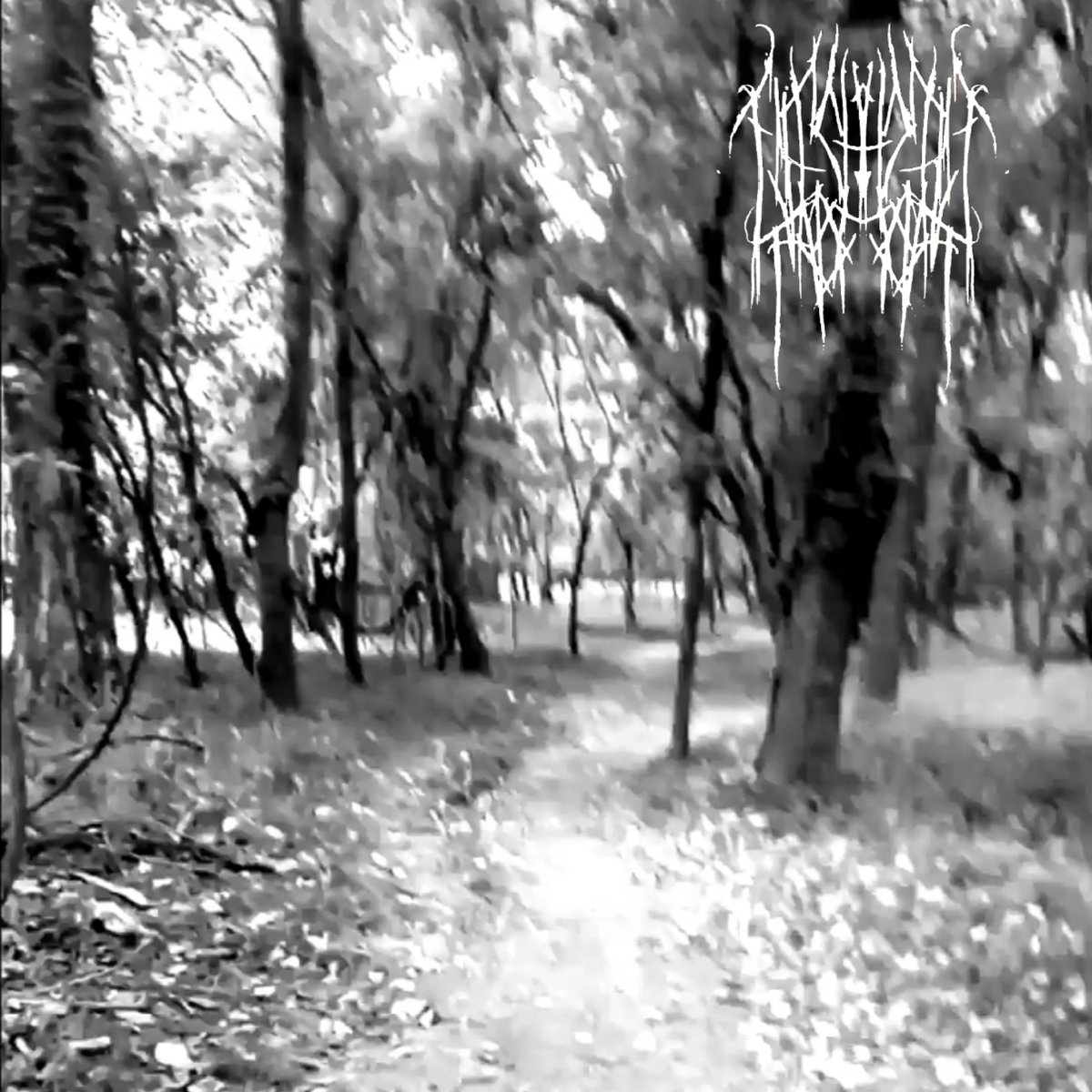 BCE #1162: Flesheaterforest - Dead Trees

For centuries the woods have been a source of mysteriousness and fear; here is the soundtrack for that mindfuckery. Heavy scouring and dense black droning here to make sure you don't miss those dark spirits.

basementcorner.bandcamp.com/album/dead-tre…