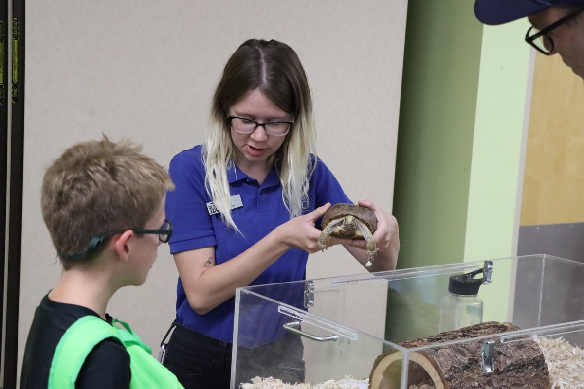Reid Park Zoo (@reidparkzoo) on Twitter photo It's the final weekend (August 8 + 9) of Summer Safari Nights, presented by <a href="/tmcaznews/">TMC Health</a>! Come to Reid Park Zoo from 6-8 p.m. to celebrate World Lion Day. Friday night listen to the hard rock of Drive By High Five & Saturday dance to the best of the 60s-80s with the Vinyl Grooves. It's the final weekend (August 8 + 9) of Summer Safari Nights, presented by <a href="/tmcaznews/">TMC Health</a>! Come to Reid Park Zoo from 6-8 p.m. to celebrate World Lion Day. Friday night listen to the hard rock of Drive By High Five & Saturday dance to the best of the 60s-80s with the Vinyl Grooves.