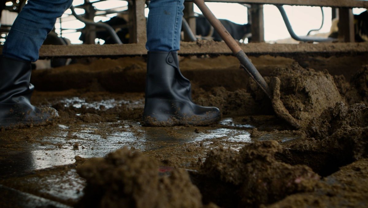 Thick mud? No sweat. These overshoes keep your boots clean, your socks dry, and your day on track. Because sometimes the ground fights back—but so do our Work Rubber Overshoes.

l8r.it/WM2R