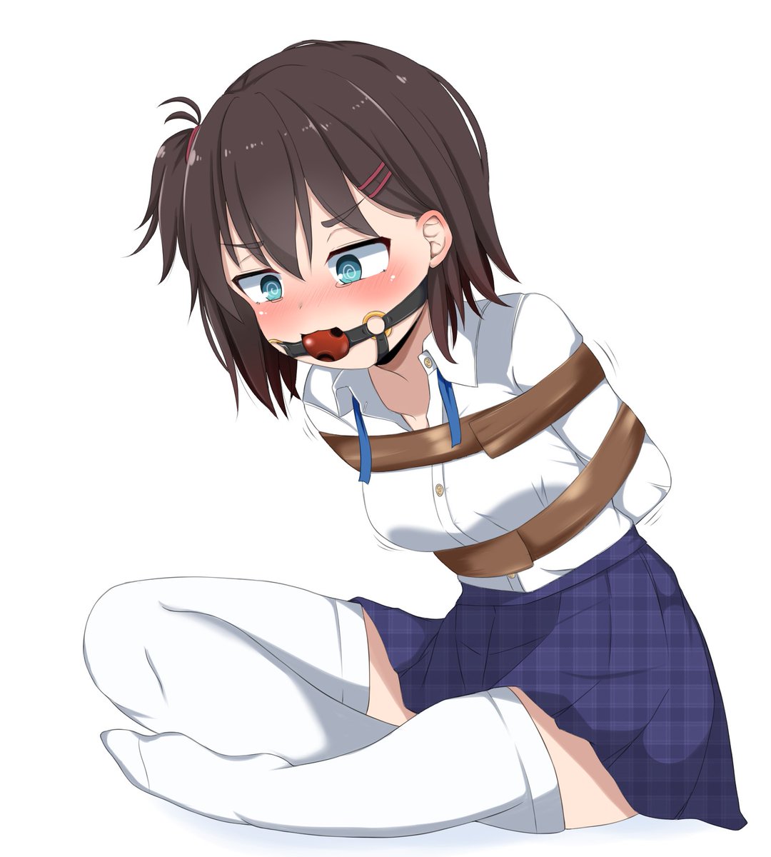 お気に入り再掲