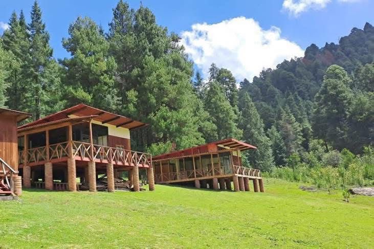 EdomexTurismo's tweet image. Enamórate, este verano ☀️⛅️, del #PuebloConEncanto de #Temascaltepec. Un sitio que te conecta con la naturaleza, aventura, saberes ancestrales y más. 
#EstadoDeMéxico #UnDestinoHechoAMano