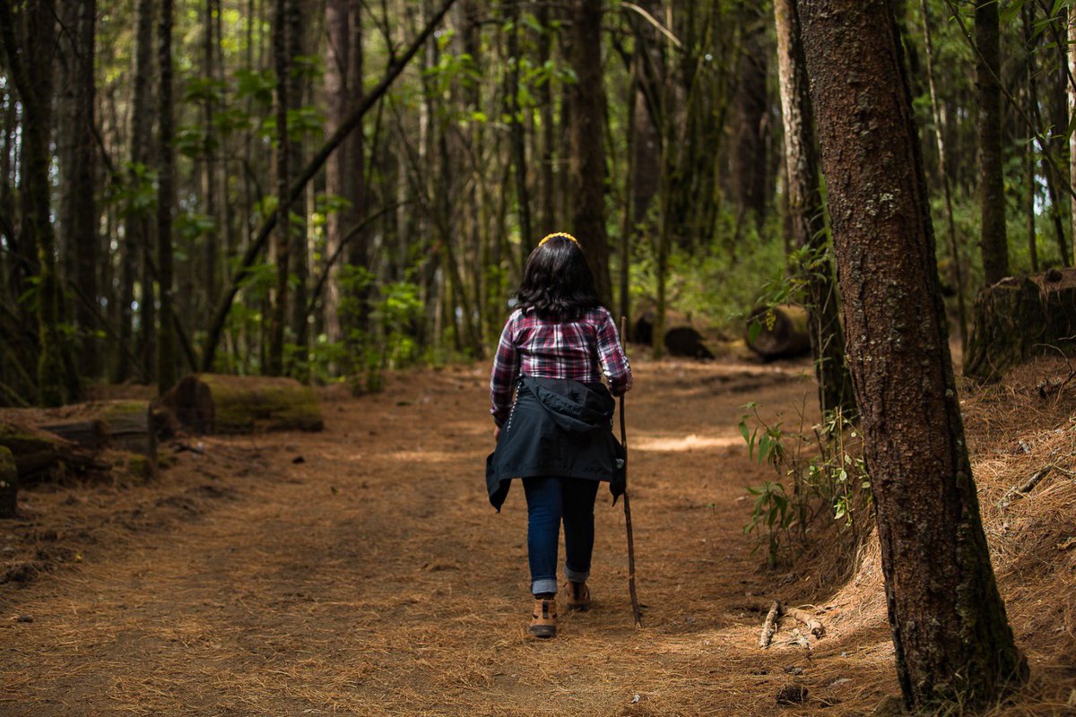 EdomexTurismo's tweet image. Enamórate, este verano ☀️⛅️, del #PuebloConEncanto de #Temascaltepec. Un sitio que te conecta con la naturaleza, aventura, saberes ancestrales y más. 
#EstadoDeMéxico #UnDestinoHechoAMano