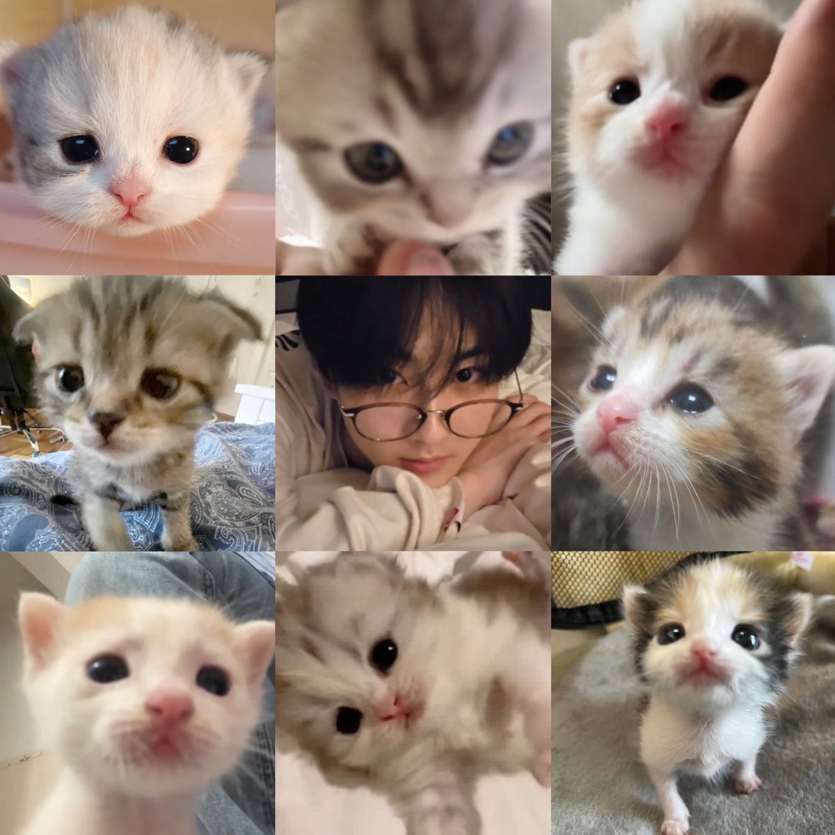 ᴊ 🫧 (@bbywoncat) on Twitter photo 