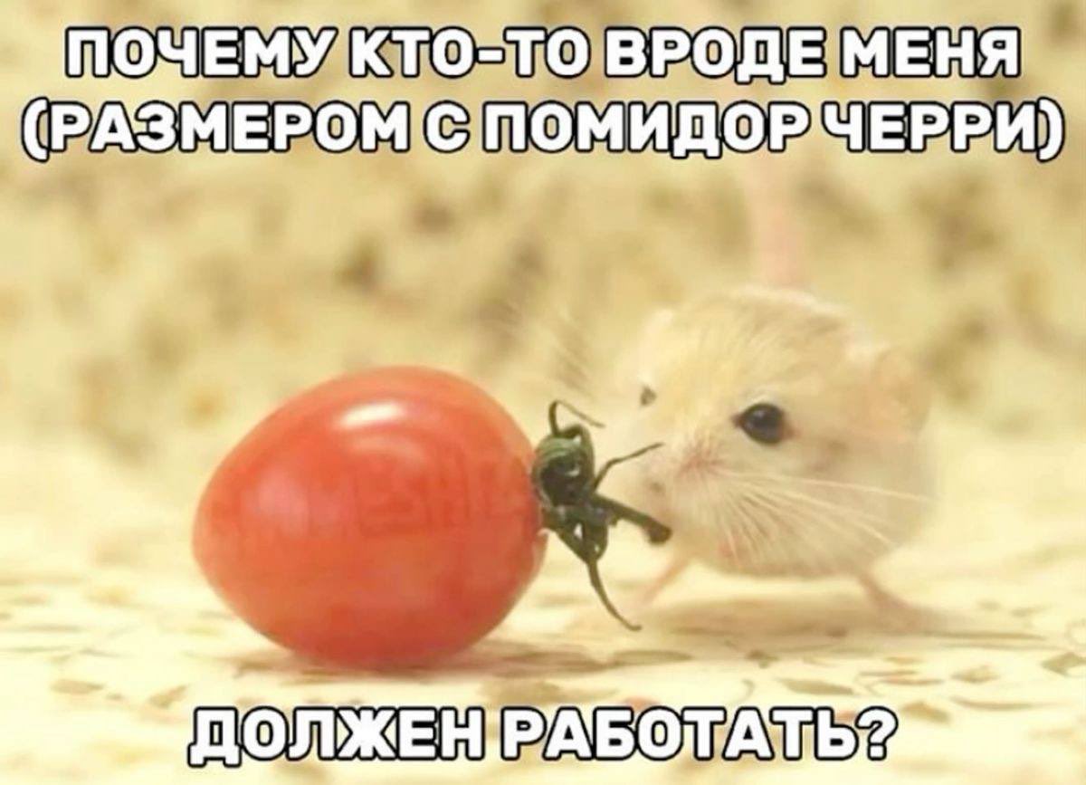 мандалена ☠️ (@imnotofcknk) on Twitter photo 