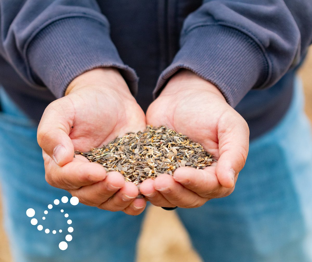 UnitedCommFiber's tweet image. Need a quick break after school or something different this weekend? Visit the Pollinator Garden at Barfield Park in Murfreesboro, a community collab with MTE! 🌸🦋
Watch the garden grow, enjoy the peace, and tag us if you stop by!

#MurfreesboroTN #UnitedCommunications