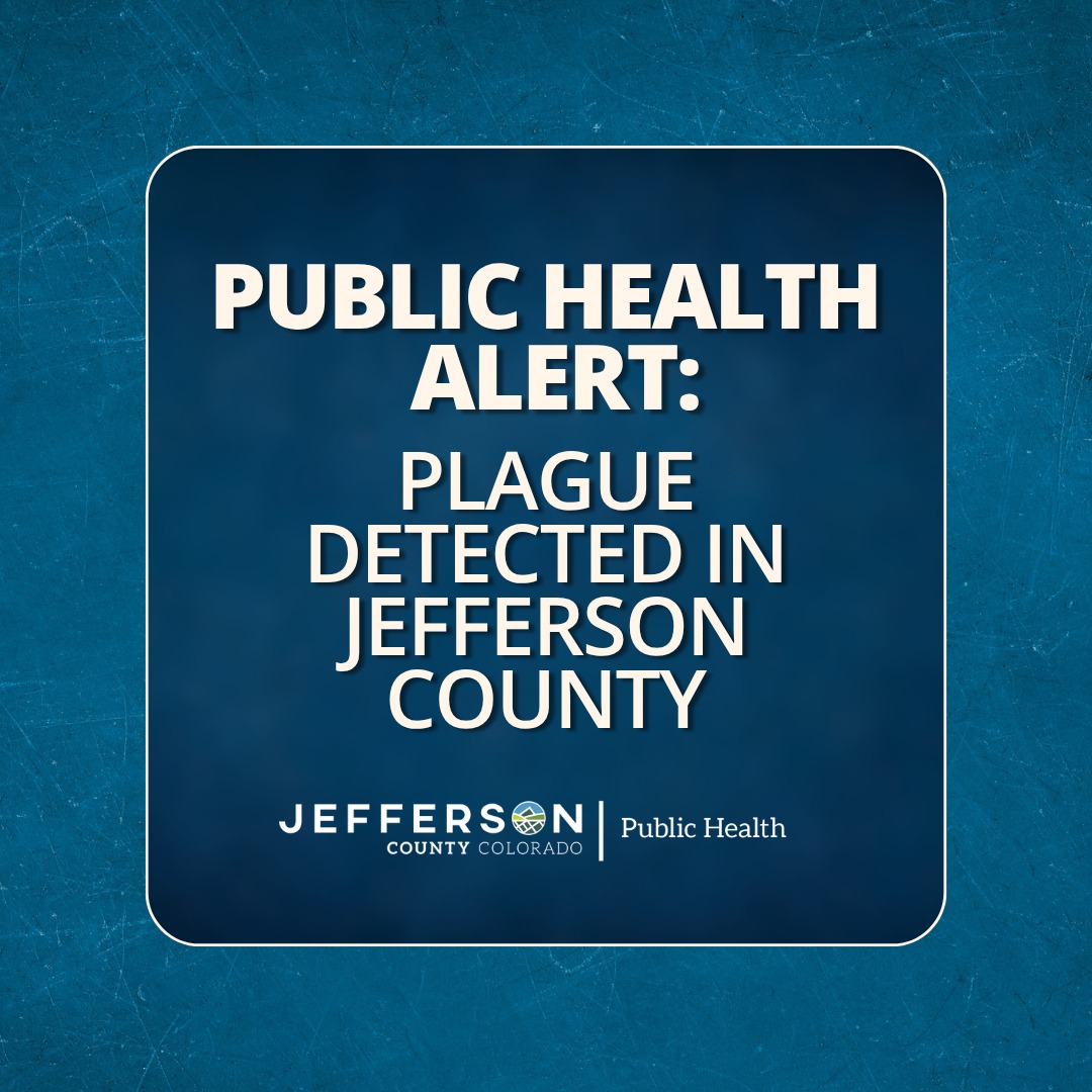 Jeffco Colorado (@jeffcocolorado) on Twitter photo A cat located near Cub Creek Park in Evergreen has tested positive for plague—the first confirmed case in an animal in Jefferson County since 2023. 
Get full details on the Jefferson County Public Health website: jeffco.us/CivicAlerts.as… A cat located near Cub Creek Park in Evergreen has tested positive for plague—the first confirmed case in an animal in Jefferson County since 2023. 
Get full details on the Jefferson County Public Health website: jeffco.us/CivicAlerts.as…