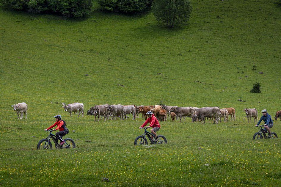 🚶‍♀️🚴‍♂️ Descobreix la vall de Bonabé amb calma i respecte!
📍 Aparca al Fornet i gaudeix-la a peu o en bicicleta

Aquest estiu, et convidem a deixar el cotxe a l’aparcament del Fornet i endinsar-te a peu o en bici a la vall de Bonabé, una de les més espectaculars del #PNAltPirineu.