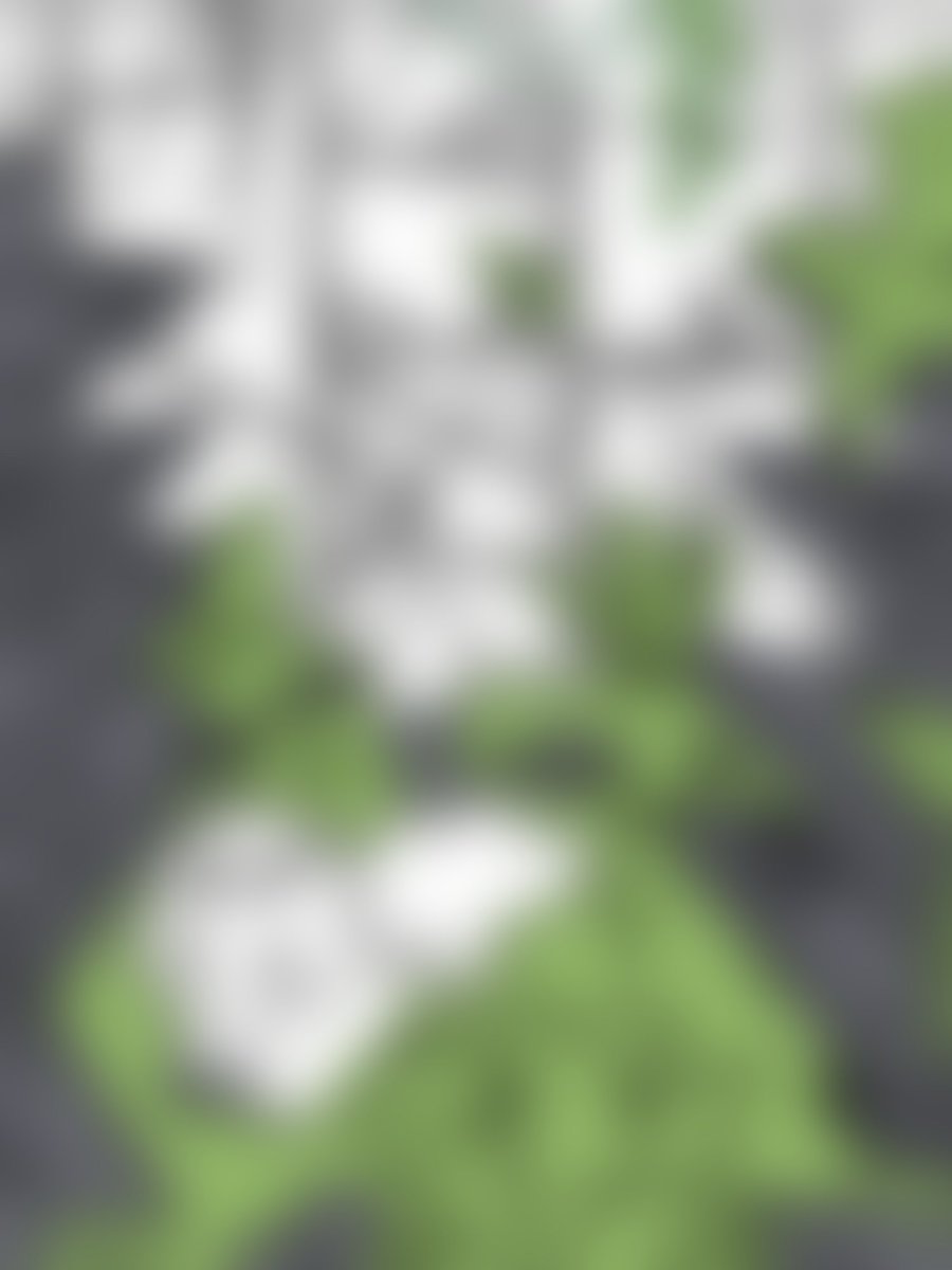 (커미션 블러처리)
배경에 디테일을 너무 많이..많이 그려서 힘이 다 빠졋다.......
컴꺼야지..