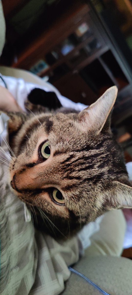 Good news about my broken humerus!  No surgery at this time!  Got a compression splint from the osteo and a new sling arriving today.  Dr thinks it will heal in time.  Todd took good care of me and will be picking up real pain meds today.  
Thank you all for your continued prayer