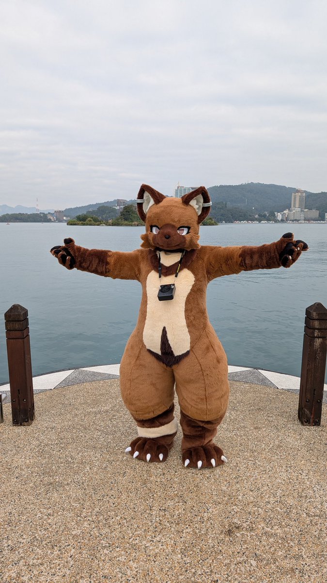 整片湖都是我的🌝

This lake is all mine🌚

📸: <a href="/NekoEe_YuanYuan/">小毅喵 ▶️ Infurnity</a>
#FursuitFriday