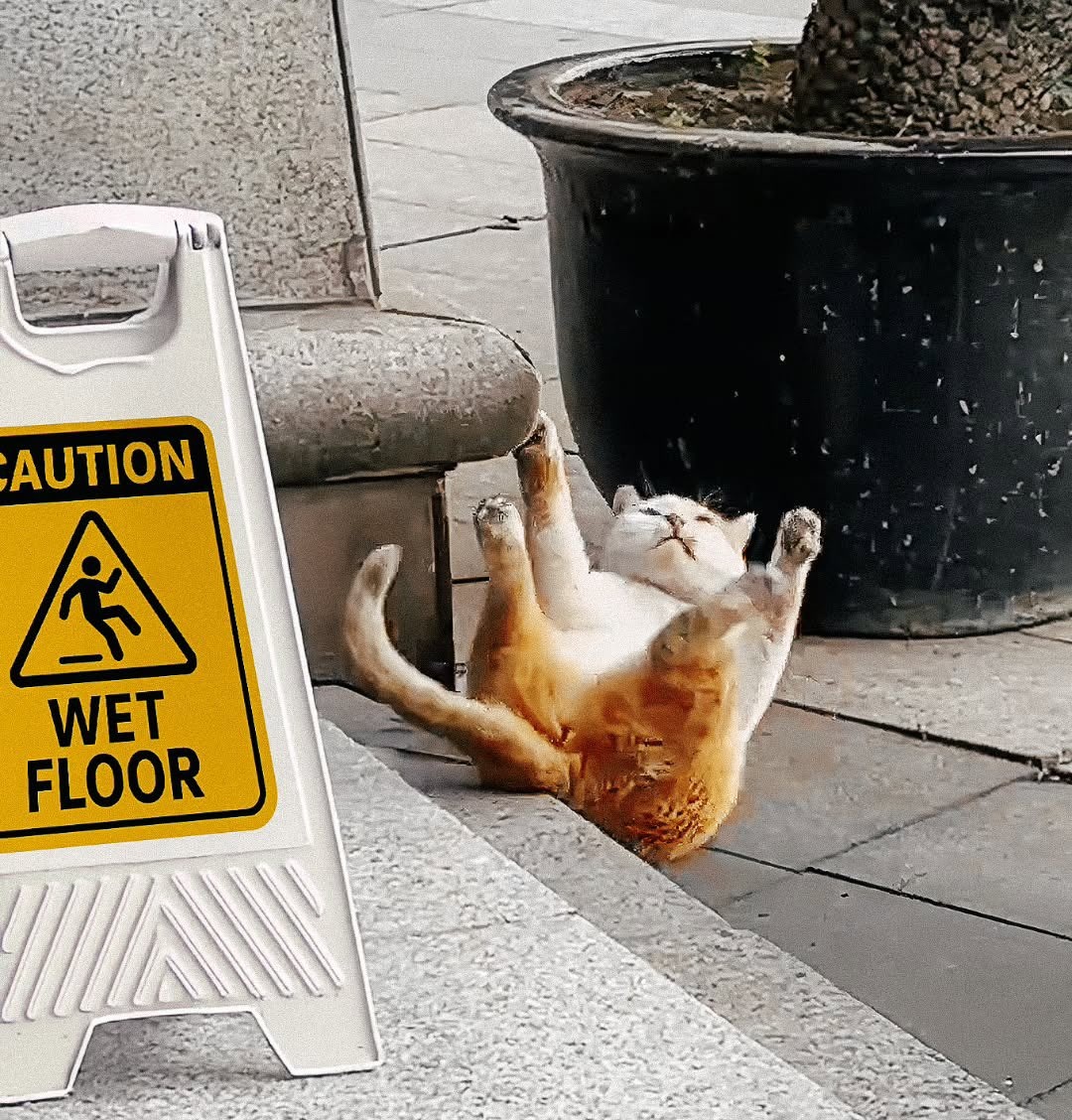 NESSUNO:
IL MIO UNICO NEURONE: